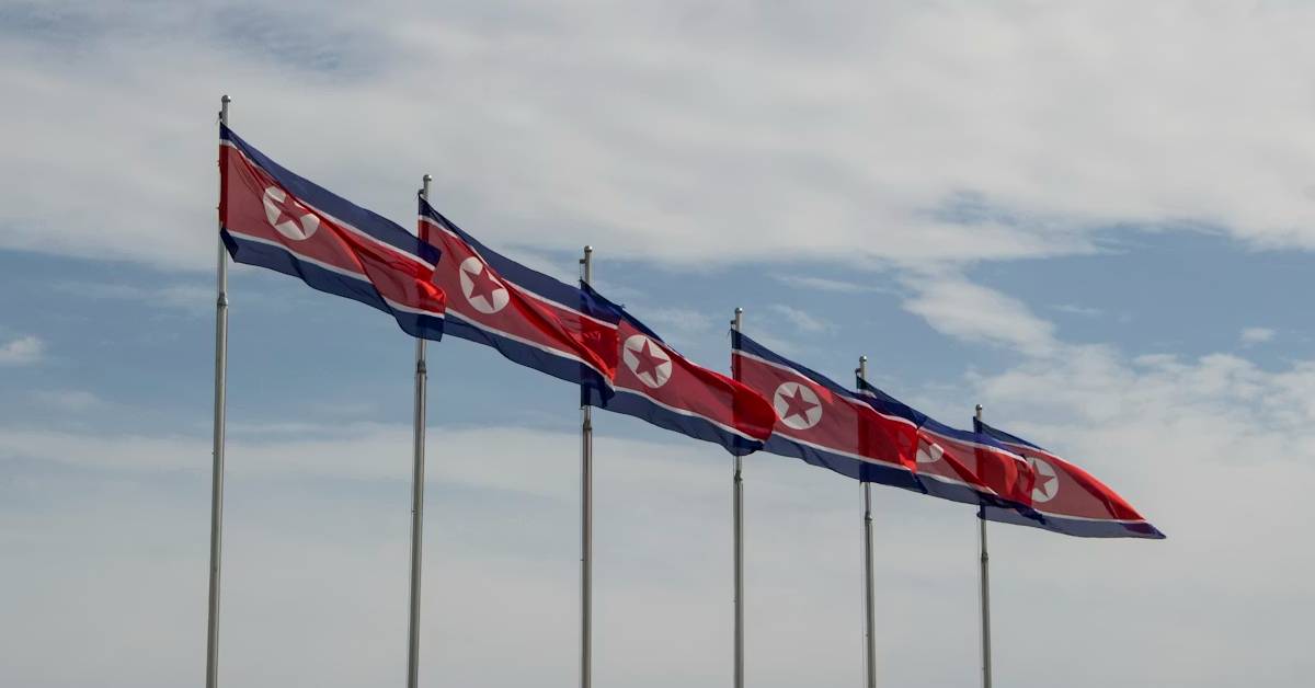 North Korean flags